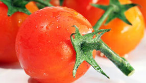 短信验证码轰炸平台